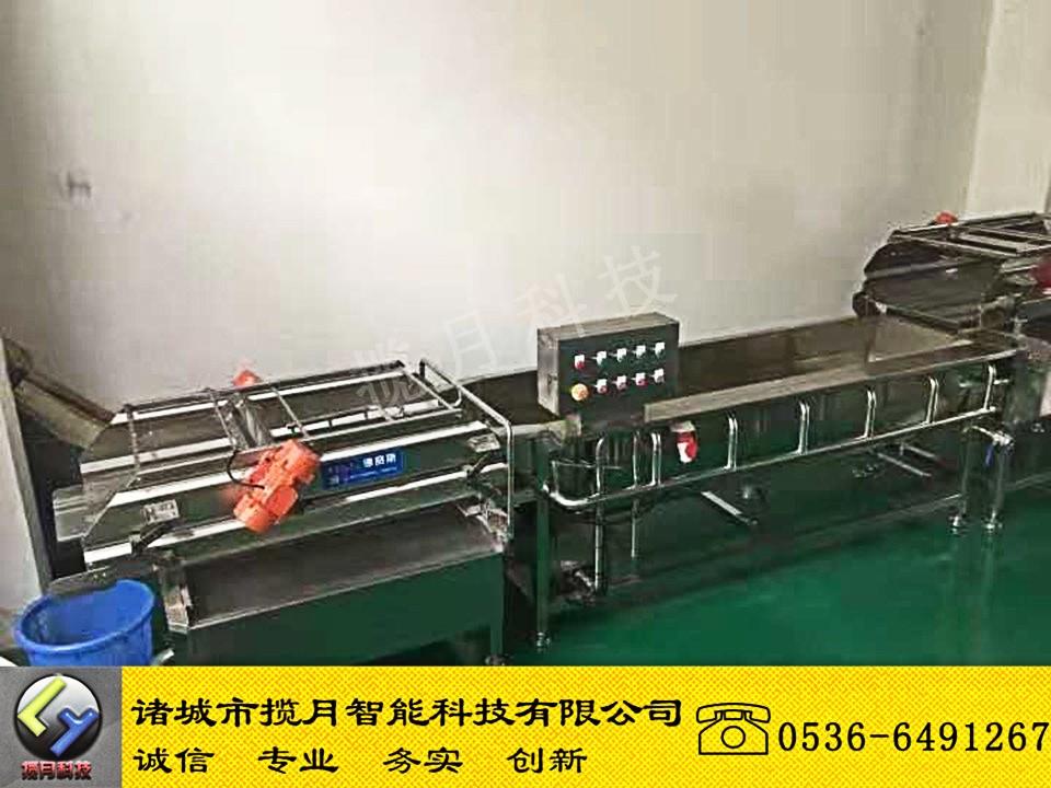 蘿卜清洗機(jī)